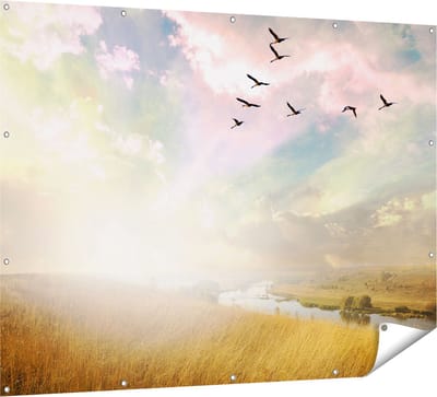 Gards Tuinposter Groep Vogels Vliegen Boven het Gras - 160x120 cm - Tuindoek - Tuindecoratie - Wanddecoratie buiten - Tuinschilderij