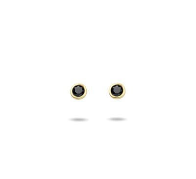 oorknoppen zwart zirkonia 14K geelgoud 4023638