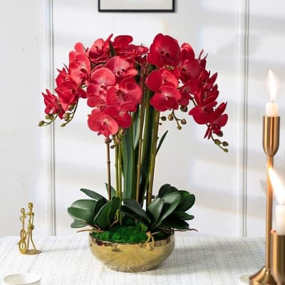 Kunstorchidee met Vaas - Nepbloemen Decoratie - Huis Verfraaien - Zeer Natuurlijk Uiterlijk - 56 cm Hoog - Rood