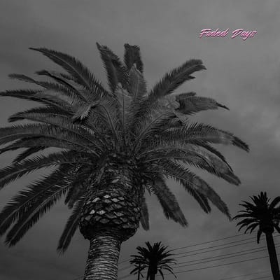 Faded Days - Actual Wolf