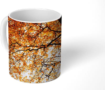 Mok - Koffiemok - Boom - Herfstbladeren - Seizoenen - Landelijk - Mokken - 350 ML - Beker - Koffiemokken - Theemok