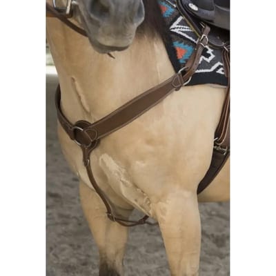 Jachthalsband voor paarden Westride Franck Perret