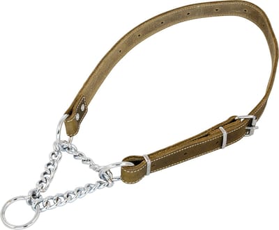 Jack & Vanilla - Halsbanden - Jv Vetleder Sliphalsband Groen - 25mmx50-80cm - voor heel grote honden