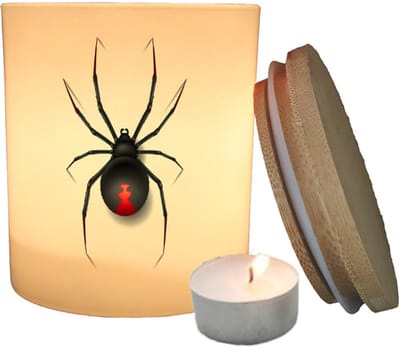 Geurfruit - Waxinelichthouder - Insect - Spin