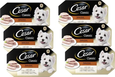 Cesar Classic Selection in Gelei - 6 x 600 gr - Voordeelverpakking