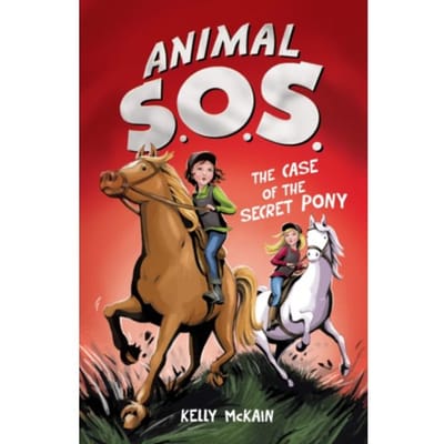 The case of the secret pony : 3 - Kelly Mckain
