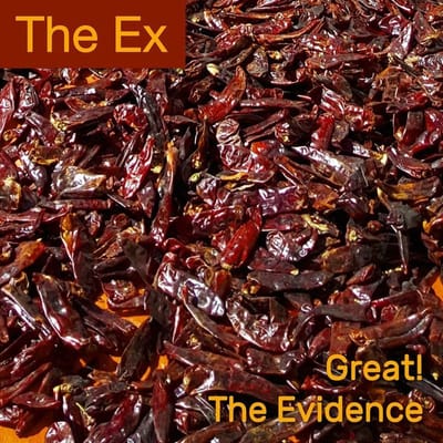 The Ex - Great! (7" Single)