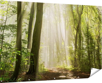 Gards Tuinposter Bos met Bomen en Zonneschijn - 180x120 cm - Tuindoek - Tuindecoratie - Wanddecoratie buiten - Tuinschilderij