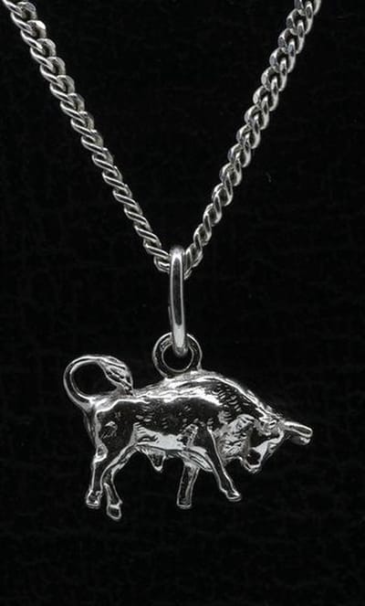 Zilveren Sterrenbeeld Stier ketting hanger - klein