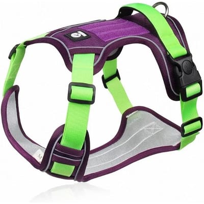 Verstelbaar Tuig Hond Reflecterende Veiligheid Training Wandelen Borstvest Leidselen Halsband Voor Franse Bulldog Huisdieren Honden Accessoires S (4-7.5kg)