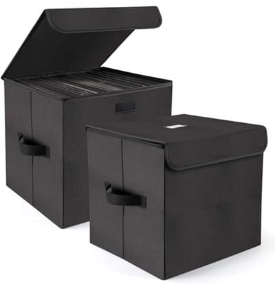 Vinyl Platen Opbergdoos - Opvouwbare 12" Vinyl Record Organizer Set van 2 met Deksel en Handvatten