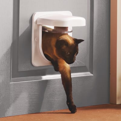 PetSafe Petporte Smart Flap - Kattenluik - Wit - 15,9 x 24,1 x 23,8 cm
