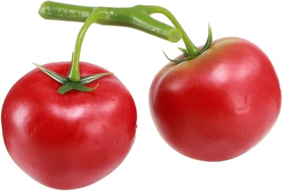 Decoratieve tomaten 2 kunsttomaten aan wijnstok Ø6cm L15cm