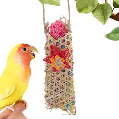 Vogel Foerageerspeelgoed - Kooiaccessoires - Gedragsverrijking - Natuurlijk Foerageren - 15x21x8 cm - Multicolor