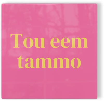 Tegeltje Groningen Tou eem tammo - roze geel - tegeltje stad - tegeltje met tekst