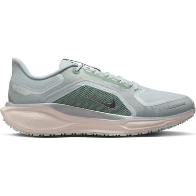 Hardloopschoenen Nike Pegasus 41 GORE-TEX