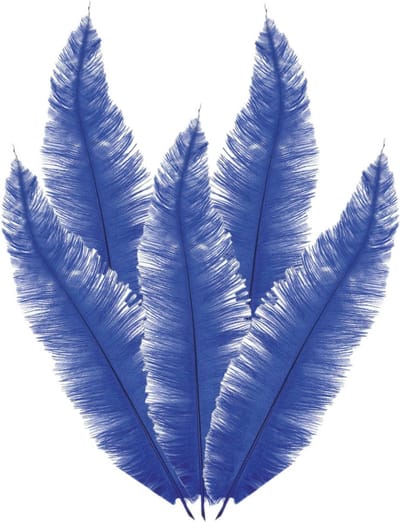 Grote struisvogelveer/pietenveer - 5x - blauw - 40 cm - Charleston/jaren 20/twenties thema verkleed accessoire