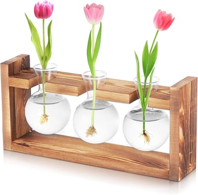 Voortplantingsstation Planten - Kweekstation Terrarium - Stekken Wortelen - Hoog Borosilicaatglas - 3 Vazen Set - Natuurlijk Hout