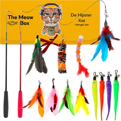 Allerion Kattenspeelgoed Hengel Set – Katten Speeltjes Intelligentie – 2 Hengels en 12 Veertjes – In Cadeauverpakking