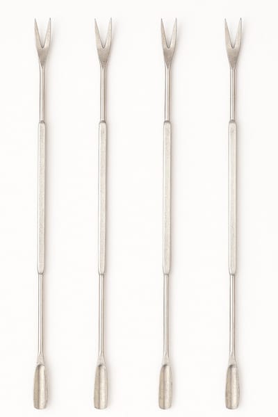 4-Delige RVS Schaaldieren Bestekset – Dubbelzijdige Shellfish Scrapers / Krabvorken – Gereedschap voor Kreeft, Oesters, Krab & Garnalen – Zeevruchten Set – Zilver