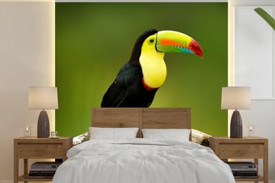 Behang - Fotobehang Vogel - Toekan - Regenboog - Groen - Tak - Breedte 300 cm x hoogte 300 cm