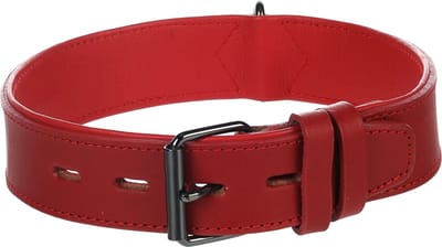 Flamingo Denver Gevoerd;breed - Halsband Honden - Halsband Denver Breed Rood L 49-58cm 40mm - 1st - 174575 - 1st