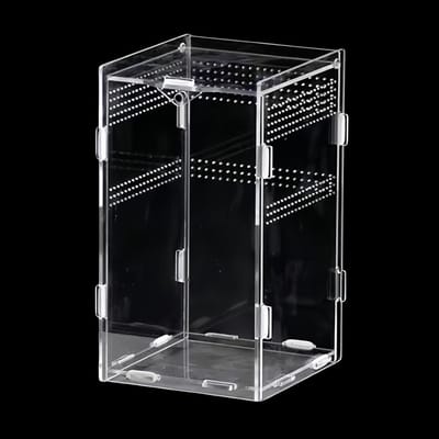 Mini Terrarium voor Reptielen en Ongewervelden, Voeding Box voor Spinnen, Kikkers en Hagedissen, 360° Transparantie en Ventilatie