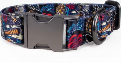 Luxe Halsband voor Honden-Metaal-Verstelbaar- 29 Cm-42Cm x 2,5 Cm-D82