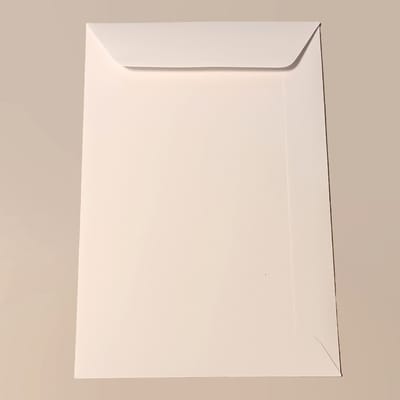 Kleine enveloppen - Loonzakjes - 9,5 x 14,5 cm - 90 g/m2 wit - gegomd zonder plakstrip - 100 stuks