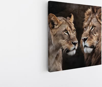 Saammp Canvas Schilderij - Leeuwen koppel - Dieren - Natuur - 20x20 - Foto op canvas - Wanddecoratie - Muurdecoratie Woonkamer - Slaapkamer decoratie - Canvas Print