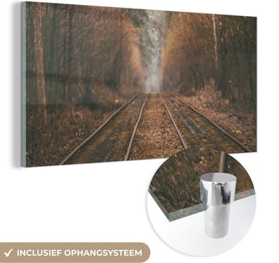 MuchoWow® Glasschilderij 40x20 cm - Schilderij acrylglas - Treinspoor - Pad - Bos - Boom - Foto op glas - Schilderijen