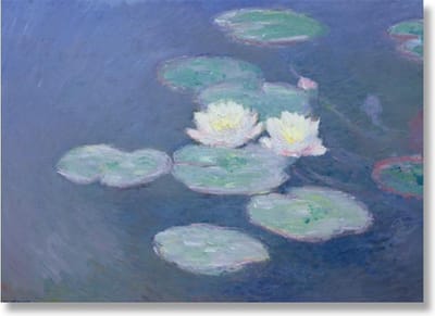Poster 50x70, Waterlelies in avondlicht, Monet