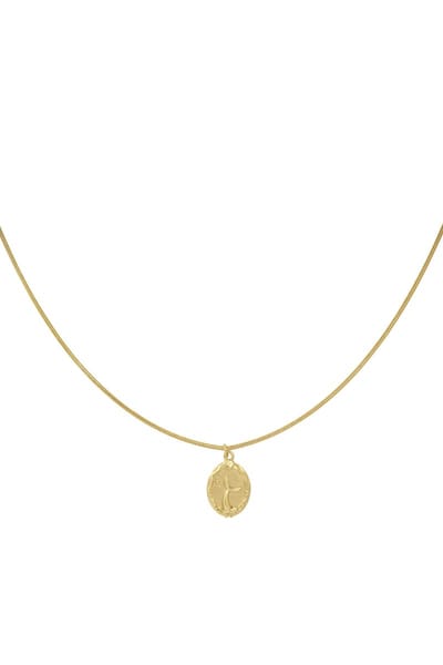 Dames ketting goudkleurig - Met vrouwen bedel - Roestvrij staal - waterbestendig - 40 cm