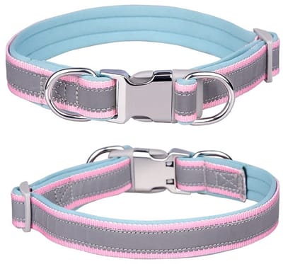 Dailygoods- Halsband Verstelbaar - Reflecterende Nylon - Zachte Neopreen Vulling - Roestvrij Stalen Sluiting - Voor Kleine/Middelgrote/Honden - Maat M (31-50cm) - Hondenhalsband