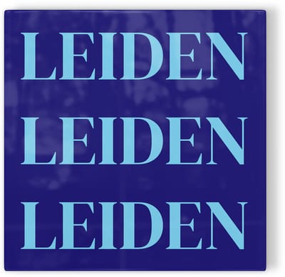 Tegeltje Leiden - donkerblauw lichtblauw - tegeltje stad - tegeltje met tekst
