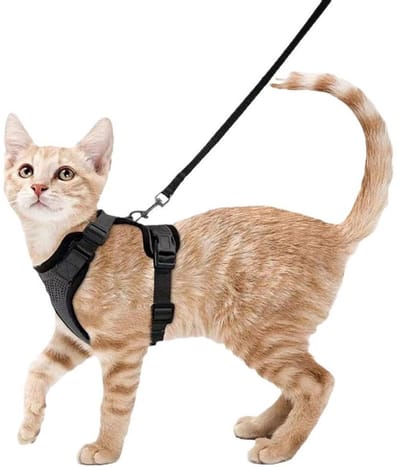 Kattenharnas En Lijn Set - Verstelbaar & Ontsnappingsbestendig - Reflecterend & Zacht - Voor Katten - Zwart (S)