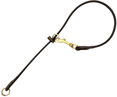 K9World by van der Veeke, Corrigerende Stropkoord - 6mm dik nylon - 45cm lang - messing ringen - met musketon