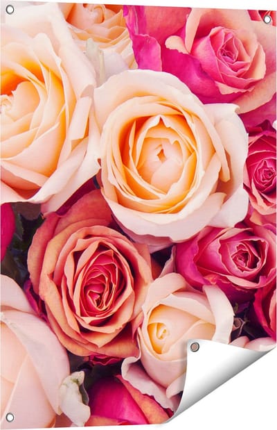 Gards Tuinposter Roze Rozen Achtergrond - Bloemen - 60x80 cm - Tuindoek - Tuindecoratie - Wanddecoratie buiten - Tuinschilderij