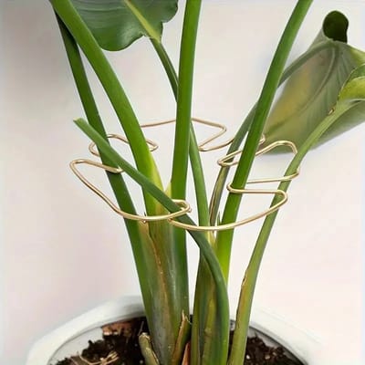 Repus - Plantensteun - Ondersteunen - Decoratie - Hulpmiddel - Plant verzorgen - Rechtop blijven groeien
