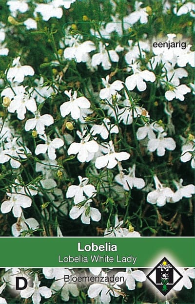 2 stuks Lobelia erinus White LadyVan Hemert & Co