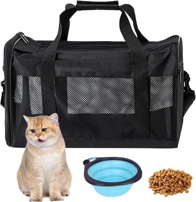 Vouwbare Transportbox voor Katten en Honden met Inclusief Voerbak - 42 x 27 x 28 cm (Zwart) - Ideaal voor Reizen, Dierenvervoer en Huisdierenopvang