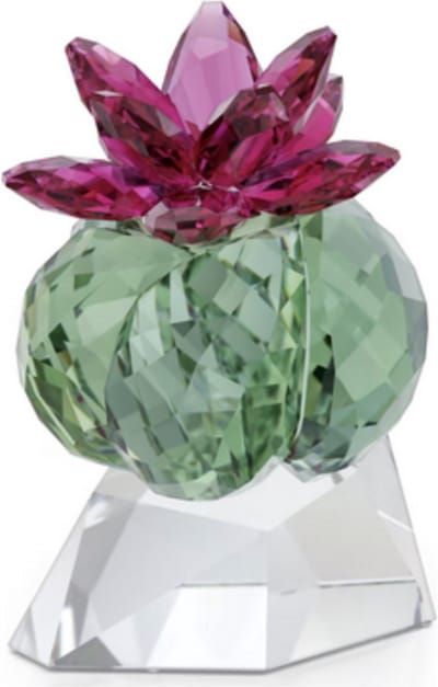 Swarovski cactus beeldje bordeaux 5426978 | decoratieobject Crystal Flowers | Colored Nature lijn, kristallen sierobject, meerkleurig ontwerp