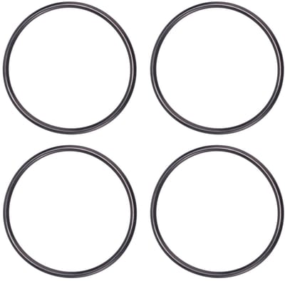 Dailygoods - 4 Stuks Chloortoevoer O-Ringen voor Jandy Zodiac - Vervangende O-Ringen
