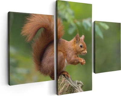 Artaza Canvas Schilderij Drieluik Eekhoorn op een Boomstam in het Bos - 90x60 - Foto Op Canvas - Canvas Print