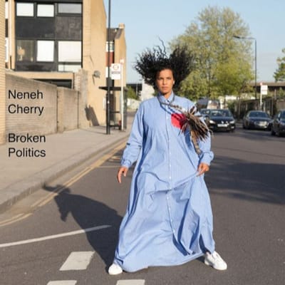 Broken Politics - Neneh Cherry