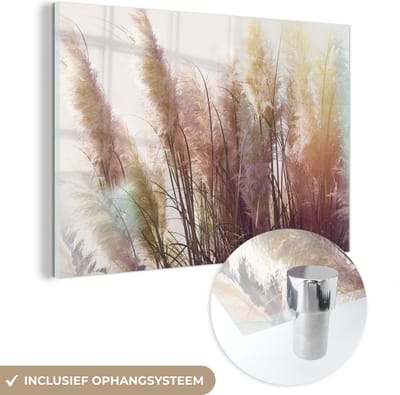 MuchoWow® Glasschilderij 60x40 cm - Schilderij acrylglas - Stilleven - Kleuren - Riet - Foto op glas - Schilderijen