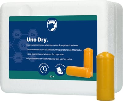 Excellent Uno Dry 20 Stuks - Droogstandbolus - Ter ondersteuning van de klauwen en klauwhuid - Met biotine