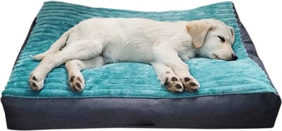 Dik en Zacht Huisdierbed & Kussen - Extra Zacht Hondenbed - Comfortabel Warm Slaapmatje voor Katten en Honden - Pluche Kattenmat - Groen - Maat 43x33x7cm