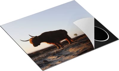 Chefcare Inductie Beschermer Twee Schotse Hooglanders op het Strand - 60x50 cm - Afdekplaat Inductie - Kookplaat Beschermer - Inductie Mat