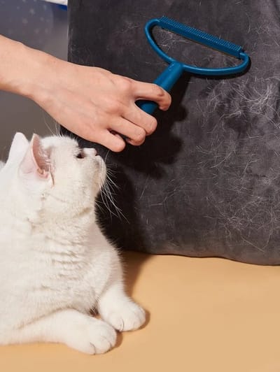 Waledano® Dubbelzijdig draagbaar Pluisscheerapparaat, Lint Remover Kleding Fuzz Stof Scheerapparaat, Pluisjestondeuse, Katten haren, Honden haren, Kleding, Pluizenroller, Pluizenborstel, Ontpluizer, Tapijt, Groen